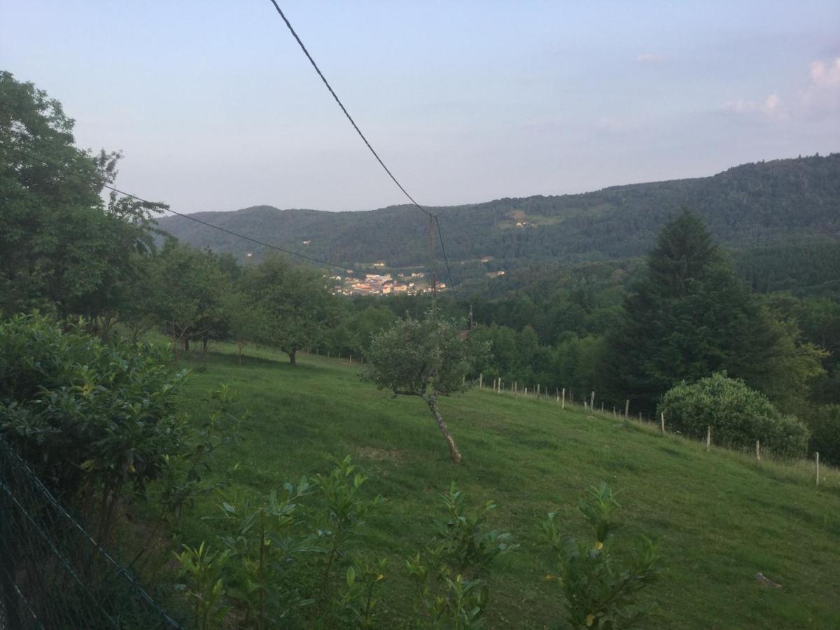 La Ferme De La-Haut B&B Le Haut-du-Them Exteriör bild