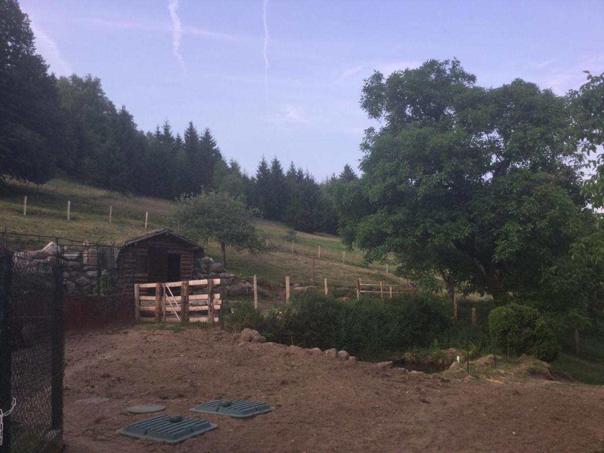 La Ferme De La-Haut B&B Le Haut-du-Them Exteriör bild